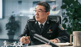 电视剧公安局长,铁血丹心，守护平安